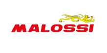 Malossi