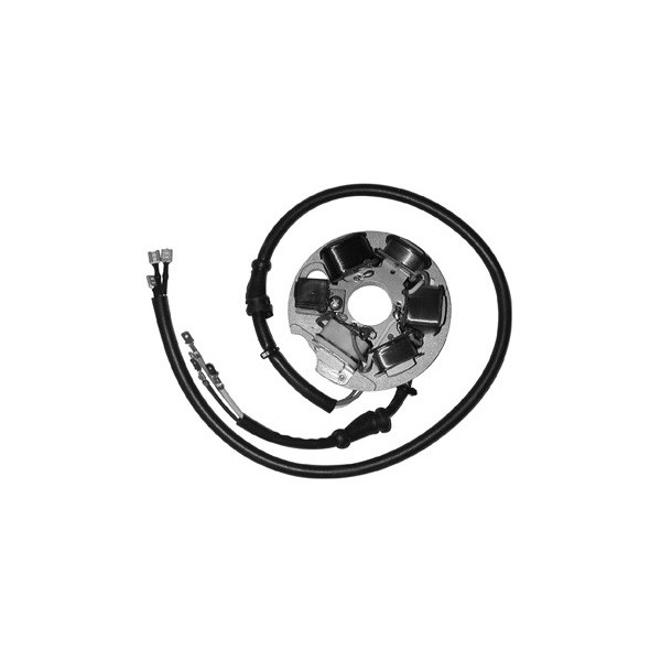 317310 STATORE DUCATI ENERGIA