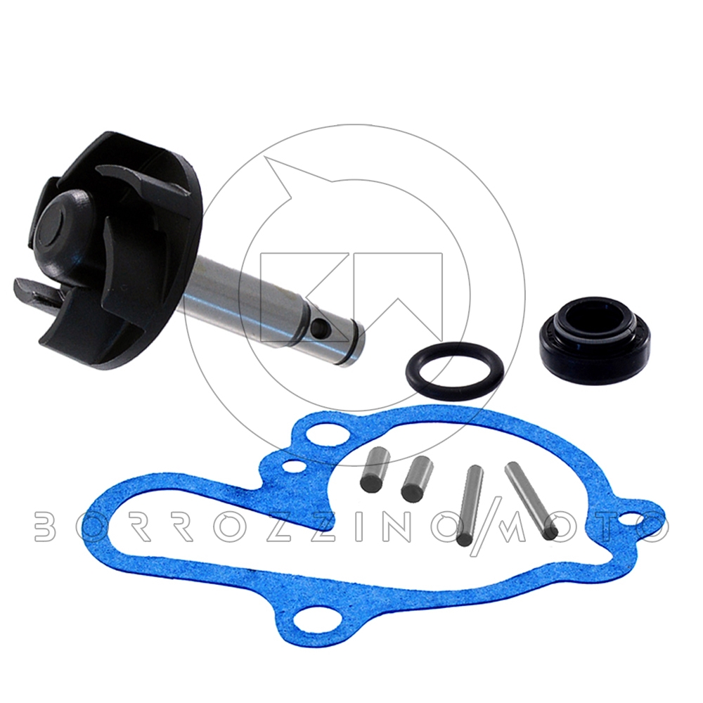 KIT REVISIONE POMPA ACQUA PER MOTORI MINARELLI AM6 50