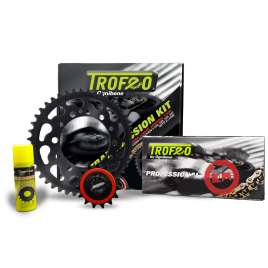 Kit trasmissione Trofeo Catena 428 Pignone Corona 15-52 DERBI SENDA R 4T BAJA EU2 125 2006-2009