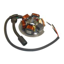 DUCATI ENERGIA STATORE APE 50P/FL/FL2/FL3/RST VESPA PK 125 S 82-84 Avviamento Elettrico