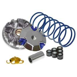 Variatore Polini Hi-Speed 241.698 Honda 50 Vision 4T (NSC50)