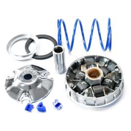 Variatore Polini Hi-Speed 241.672 Piaggio 50 2T Zip Quartz Nrg Free Typhoon Vespa ET2