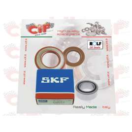 KIT REVISIONE ALBERO MOTORE CON PARAOLI ROLF APE TM P703-P602 - APE CAR