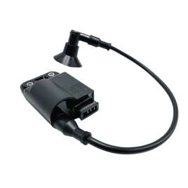 CENTRALINA ELETTRONICA BOBINA PER APRILIA SCARABEO 50 GILERA RUNNER SP 50 VESPA LX 50