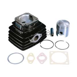 Polini 133.0072 Kit Gruppo Termico 75cc D.47 MINARELLI V1 50 FANTIC MOTOR ISSIMO