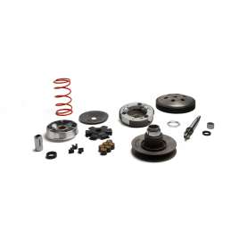 Gruppo trasmissione completo OVER RANGE MALOSSI 6119262 PIAGGIO CIAO Sì 50
