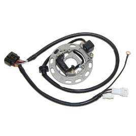 ELECTROSPORT ESC1370 STATORE KAWASAKI KX65/85