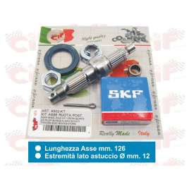 KIT REVISIONE ASSE RUOTA POSTERIORE PIAGGIO FREE 50 NRG NTT SFERA ZIP 50