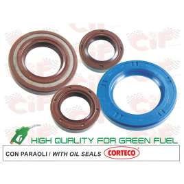 SERIE PARAOLIO MOTORE VITON PIAGGIO SFERA-ZIP-FAST RIDER 50