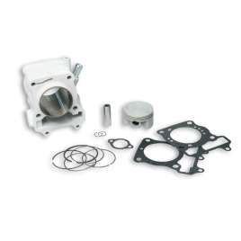 3111588 MALOSSI CILINDRO PISTONE Ø 61 ALLUMINIO SPINOTTO 14 H2O 4-STROKE