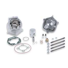 3112977 MALOSSI GRUPPO TERMICO Ø 39,88 ALLUMINIO SP.Ø 12 H2O MHR REP. RS 50 DERBI