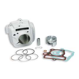 3113238 MALOSSI CILINDRO PISTONE Ø 53 ALLUMINIO SPINOTTO 13 PIT BIKE 110 4T