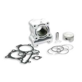 3114852 MALOSSI CILINDRO PISTONE Ø 63 ALLUMINIO SPINOTTO 14 H2O I-TECH 4-STROKE