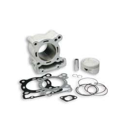 3115326 MALOSSI CILINDRO PISTONE Ø 67 ALLUMINIO SPINOTTO 15 H2O 4-STROKE