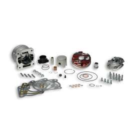 3115883 MALOSSI GRUPPO TERMICO Ø52 MHR FLANGED MOUNT TESTAROSSA PIAGGIO 50 2T LC