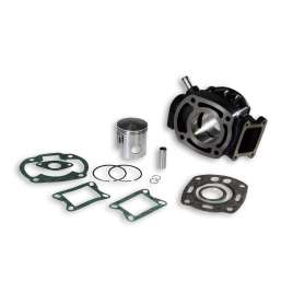 313738 MALOSSI CILINDRO PISTONE Ø 53 GHISA H2O HONDA NSR 75 MBX 80