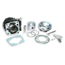 316814 MALOSSI GRUPPO TERMICO 180cc Ø65 HONDA CRM-NSR-RAIDEN LC 125 2t ALLUMINIO