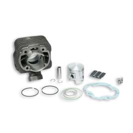 317132 MALOSSI CILINDRO 75cc Ø47 PEUGEOT SPEEDFIGHT BUXY LOOXOR TREKKER 50 2T