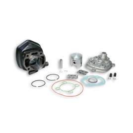 318284 MALOSSI GRUPPO TERMICO 75CC Ø47 GHISA SP.Ø 10 MINARELLI ORIZZONTALE H2O