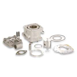 318415 MALOSSI GRUPPO TERMICO Ø36 ALLUMINIO H2O MINI MOTO