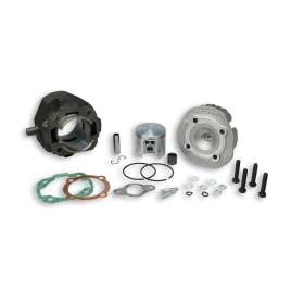 318691 MALOSSI GRUPPO TERMICO 102cc VESPA 50 SPECIAL L R N PK XL APE CILINDRO 55