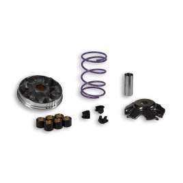 VARIATORE MALOSSI 5112024 MULTIVAR 2000 PIAGGIO 100 4T ZIP LIBERTY FREE SCARABEO