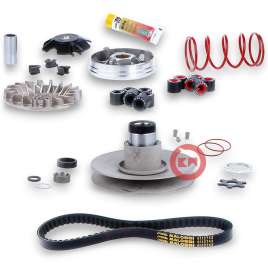 OVER RANGE MALOSSI MINARELLI 50 SCARABEO AEROX BOOSTER F12 F15