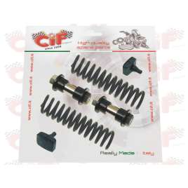 KIT REVISIONE FORCELLA MOLLE PIAGGIO CIAO PX 50