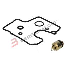 Kit Revisione Carburatore Tourmax SUZUKI VL 800 INTRUDER VOLUSIA 01-04