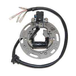ELECTROSPORT ESC1361 STATORE KAWASAKI KX 80 96-97