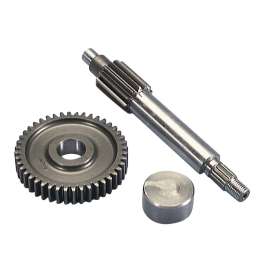 Polini 202.1370 INGRANAGGIO PRIMARIO RAPPORTI ALLUNGATI 13-44 BOOSTER F10 F12 SCARABEO MINARELLI 50