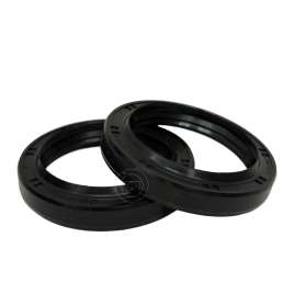 KIT PARAOLI FORCELLA 41,7 X 55 X 8/10,5 TC4Y MAICO E USA H20 490