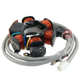 STATORE MAGNETE VOLANO PER PIAGGIO ZIP SP 50 GILERA TYPHOON STALKER NRG 50