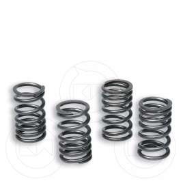 MOLLE MOLLA FRIZIONE RACING RINFORZATA MALOSSI PER MINARELLI 50 AM345 AM6