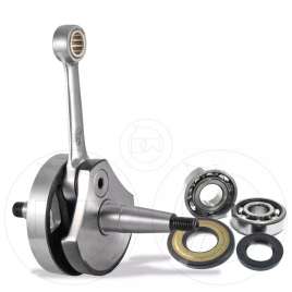 ALBERO MOTORE CONO Ø20 + CUSCINETTI ALTI GIRI PER PIAGGIO APE 50 VESPA PK 50 125 XL