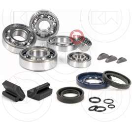 KIT CUSCINETTI E PARAOLI REVISIONE MOTORE O- RING VESPA 50 SPECIAL L R N PK 50 S