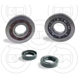 KIT CUSCINETTI DI BANCO SKF ALTI GIRI E PARAOLI PER PIAGGIO NRG Power DD 50