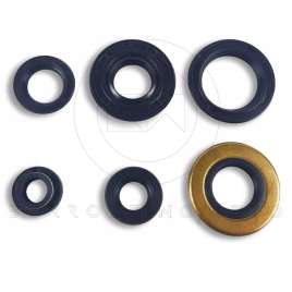 SERIE KIT PARAOLI MOTORE ARIETE MADE IN ITALY 11897 PER MOTORE MINARELLI 345