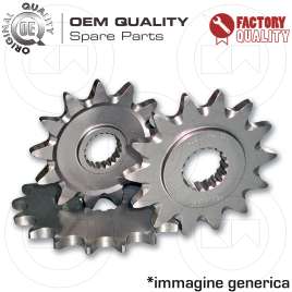 549411913 PIGNONE ACCIAIO PASSO 420-DENTI 13 BETAMOTOR RR Motard 50 02/04