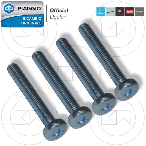 Viti per forcella pieghevole monopattino elettrico